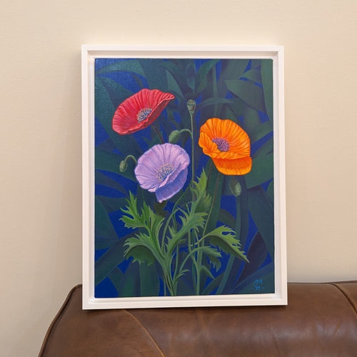 Poppies and bromeliads